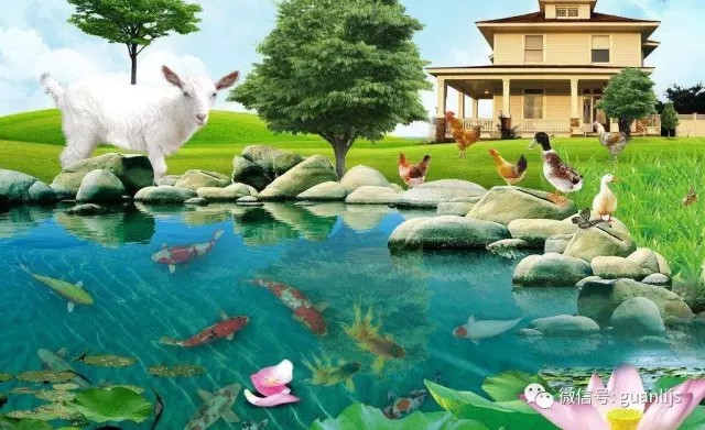 Աҵǹ˾չĻʯڵ
